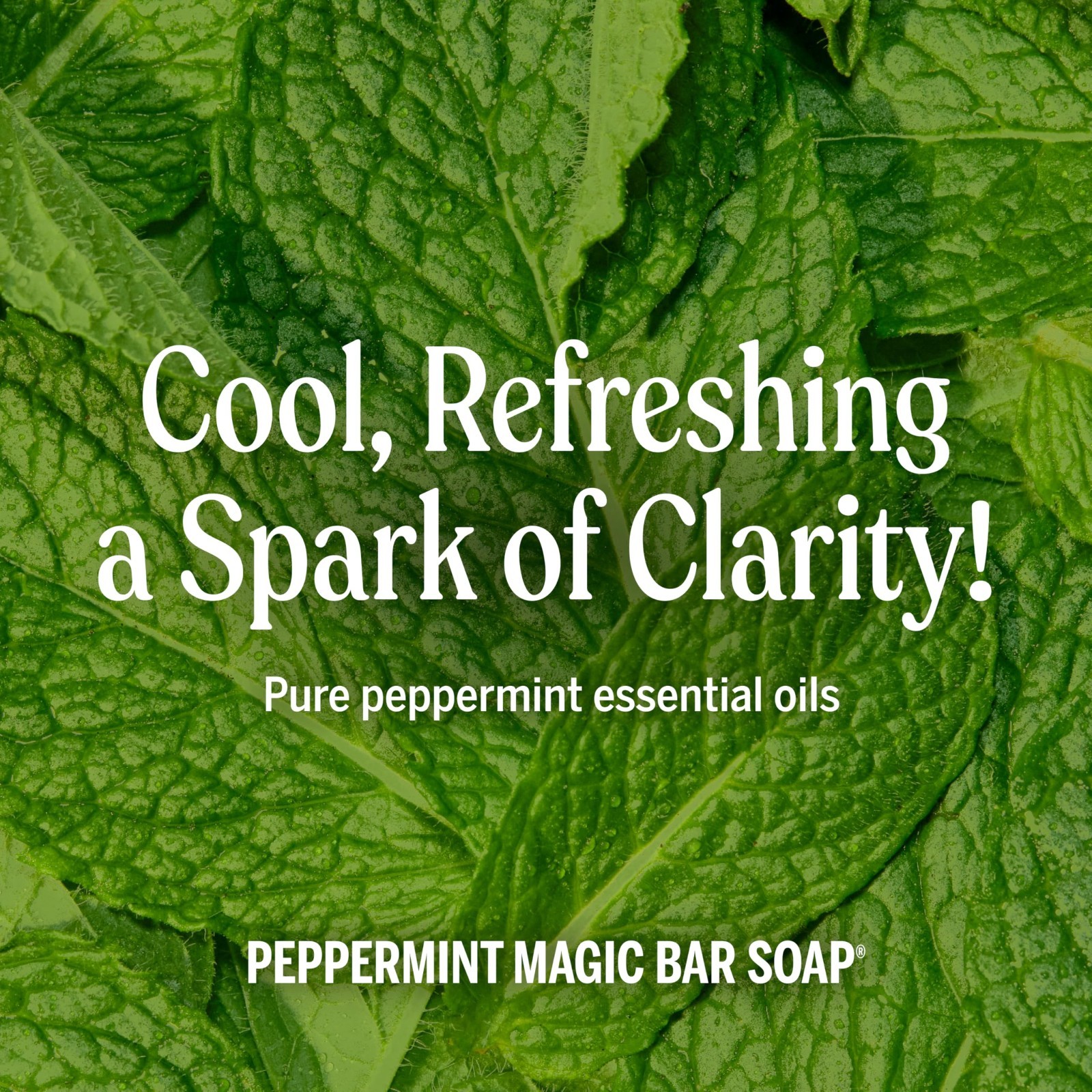 Pure-Castile Magic Soap Bars – Peppermint, 5 oz, 6-Pack – Vegan, Gentle Cleanser