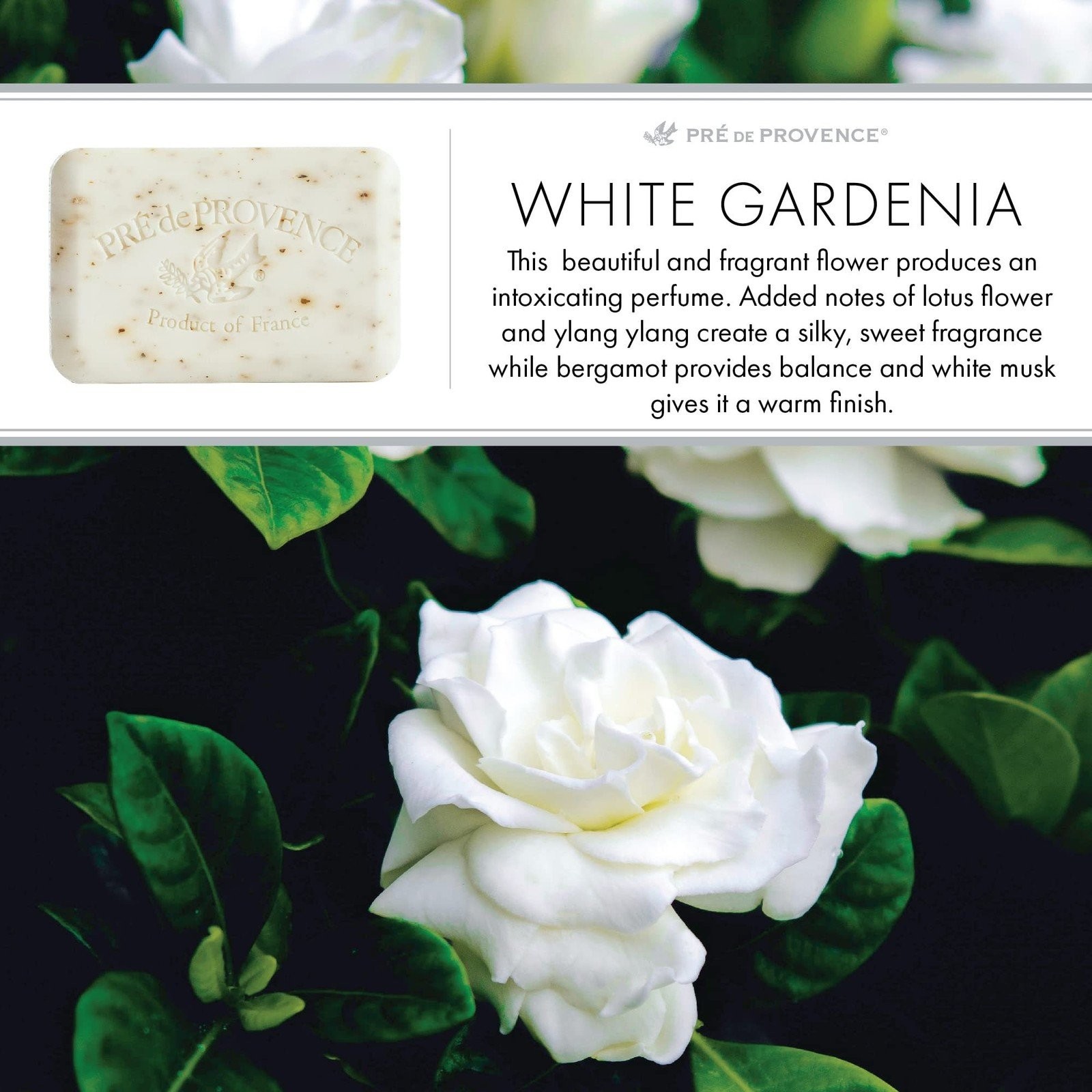 Pre de Provence 250g Soap Bar, Pack of 6 – White Gardenia