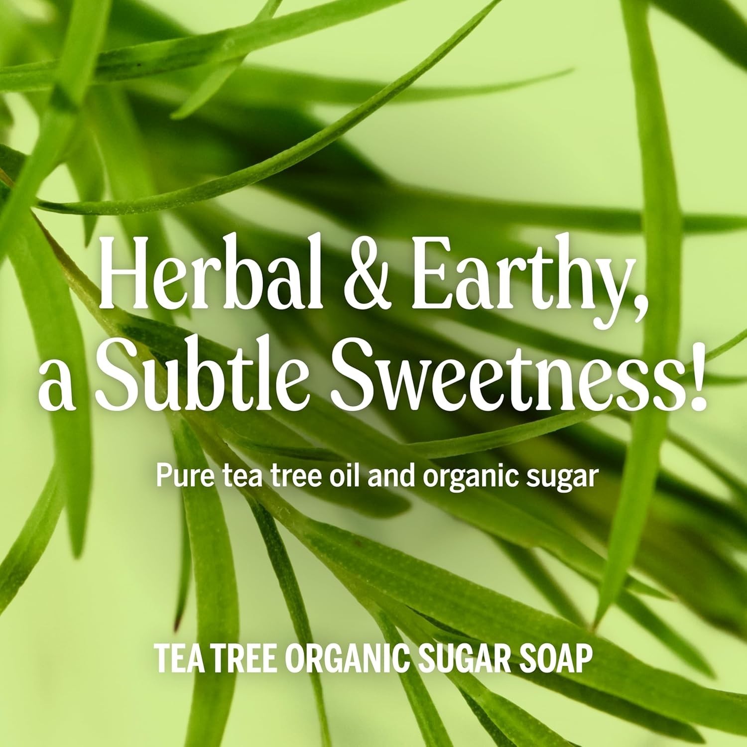 Organic Sugar Soap Tea Tree – Hands, Body, Face, Hair