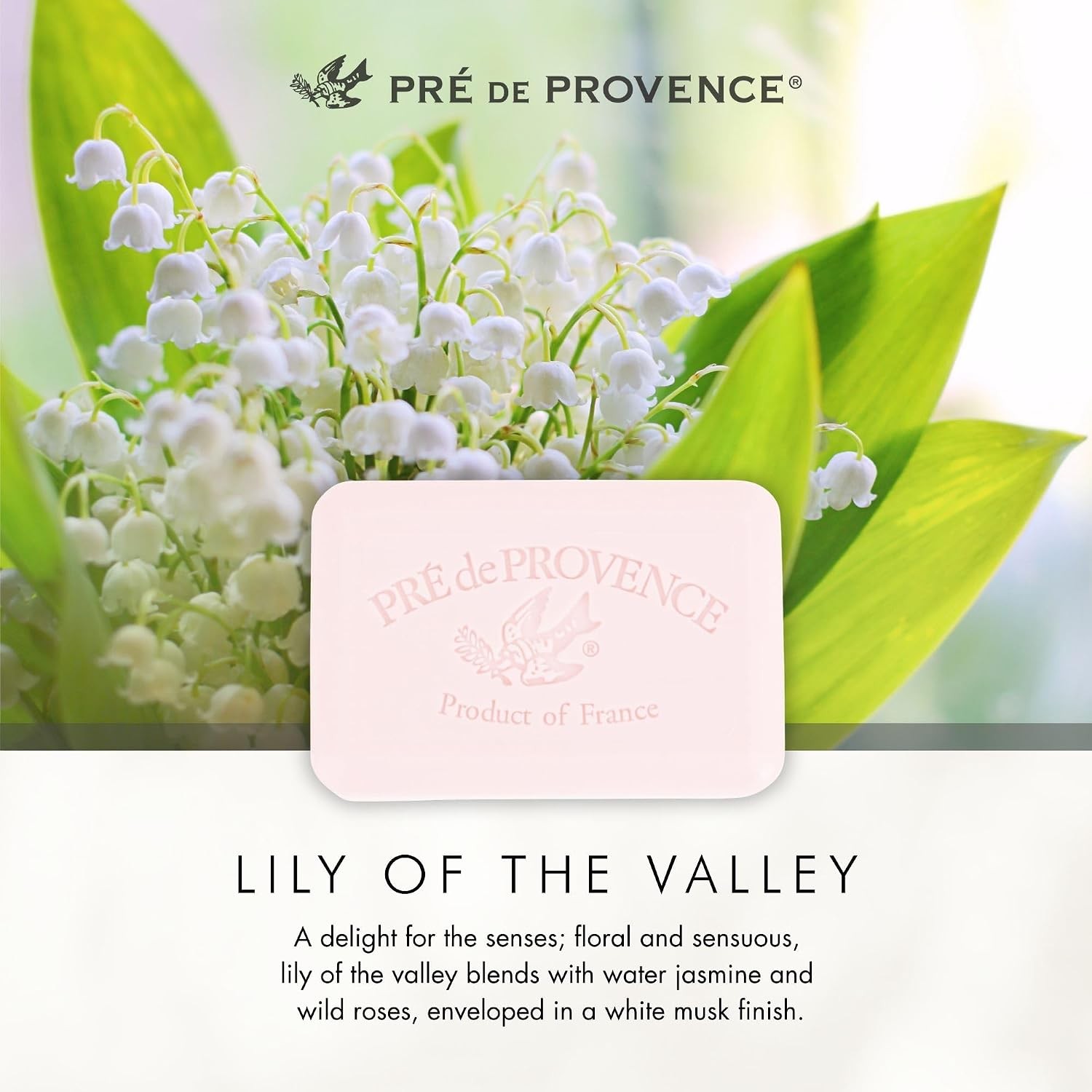 Artisanal Soap Bar Enriched with Organic Shea Butter Natural French Skincare