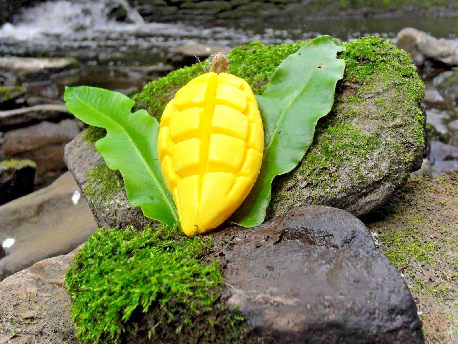Soap Fruit & flower Shaped Scented Natural Thai Spa Gift Souvenir Keepsake