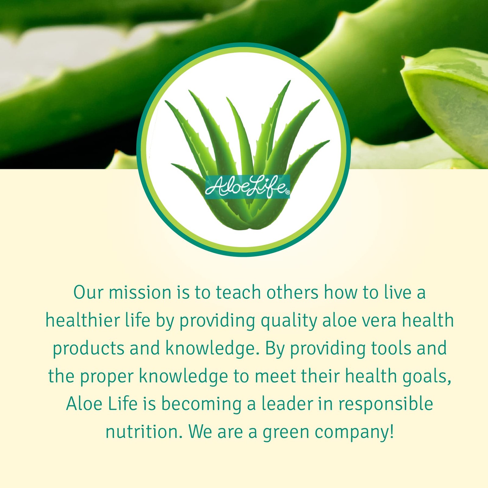 Aloe Life Skin Gel & Herbs, 99% Certified Organic Aloe Vera, 8 oz