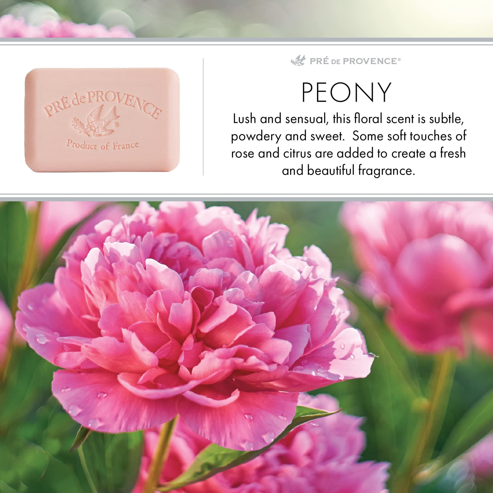 Pre de Provence Peony Soap 8.8 Oz Traditional French Artisanal Moisturizing Bar