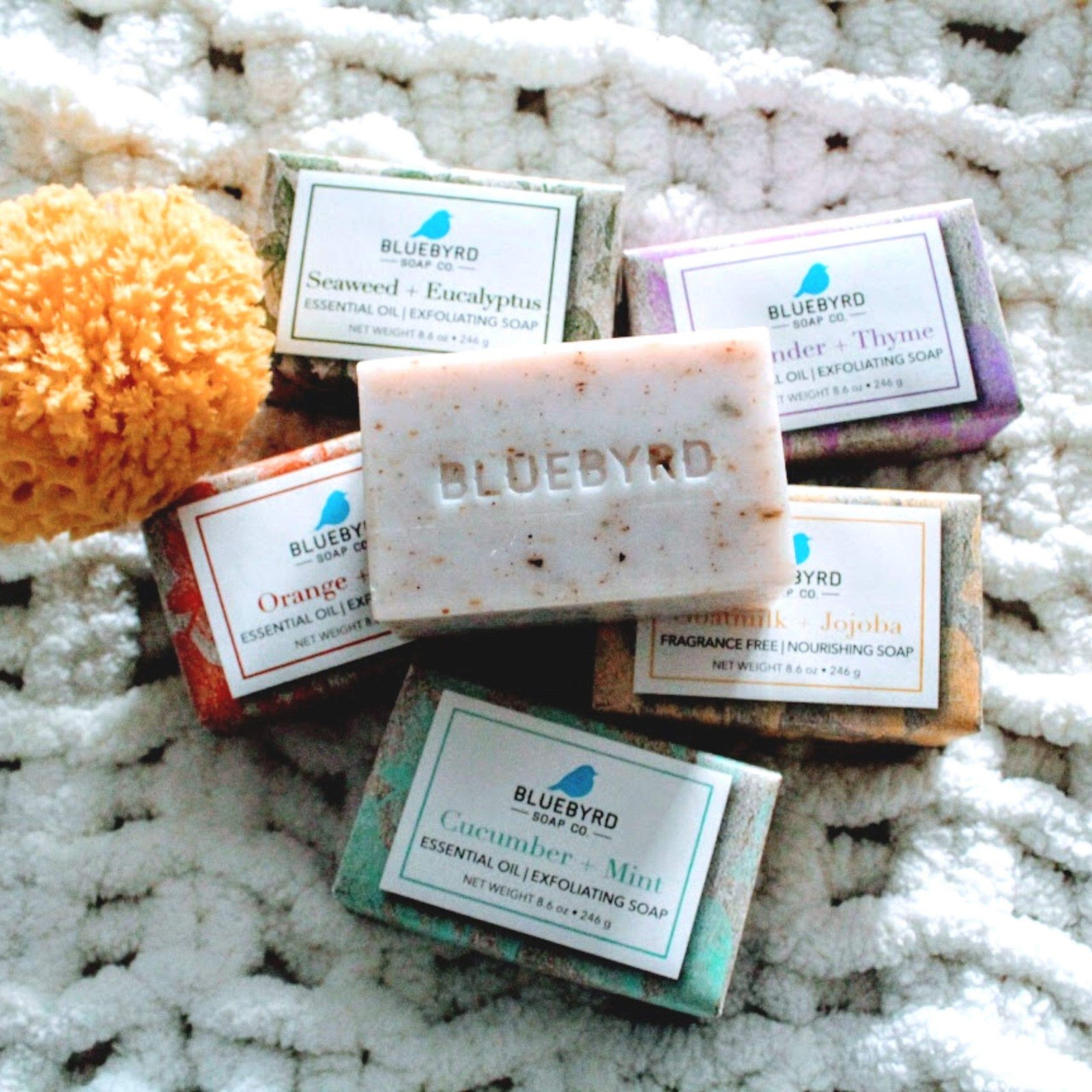 BLUEBYRD Soap Co. 5-Pack Variety Set Exfoliating Essential Oil Soap Bars | 10…