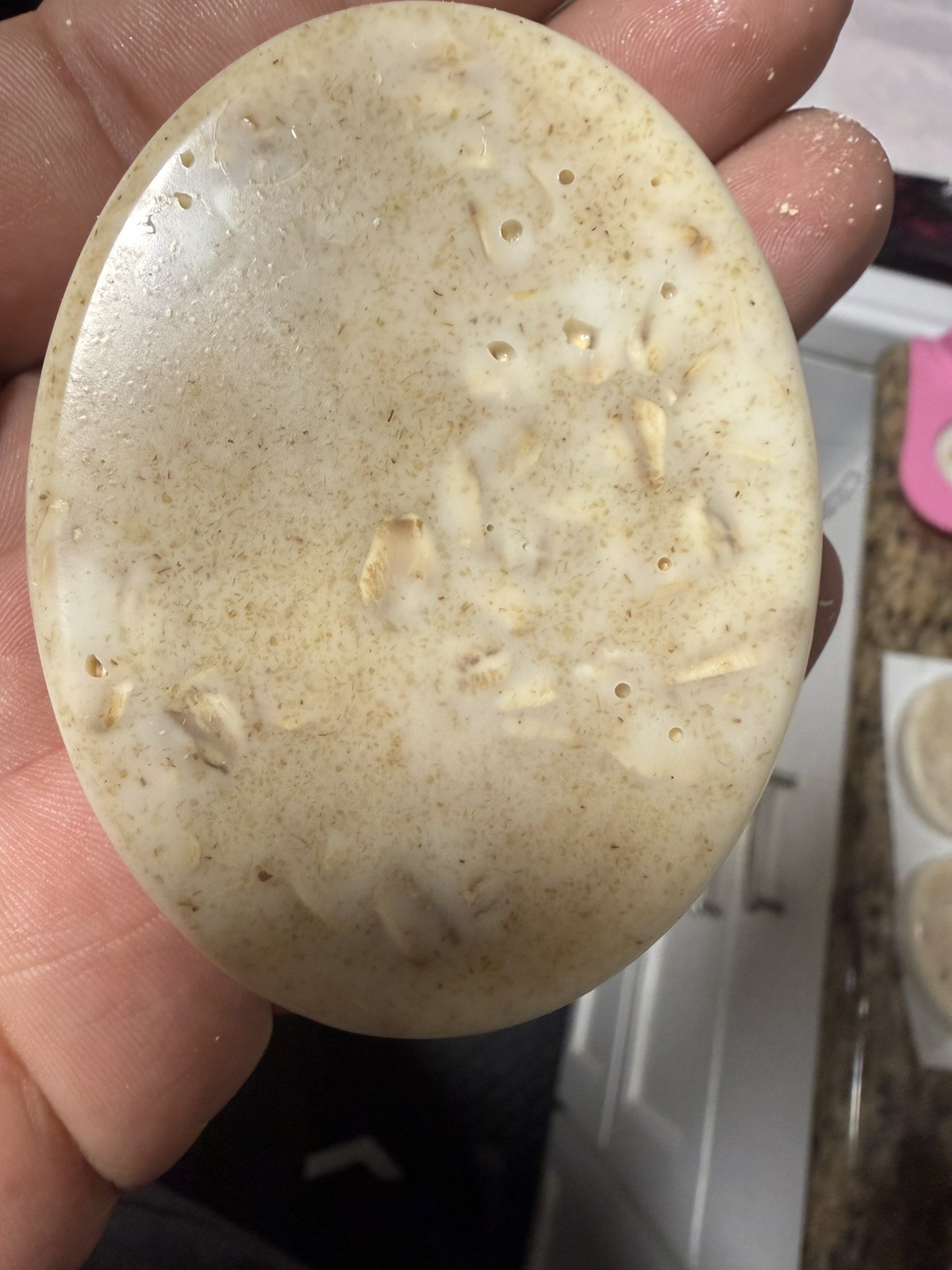 Handmade Goat Milk Soap, Oatmeal , Goats Milk Soap Bar, Made in USA