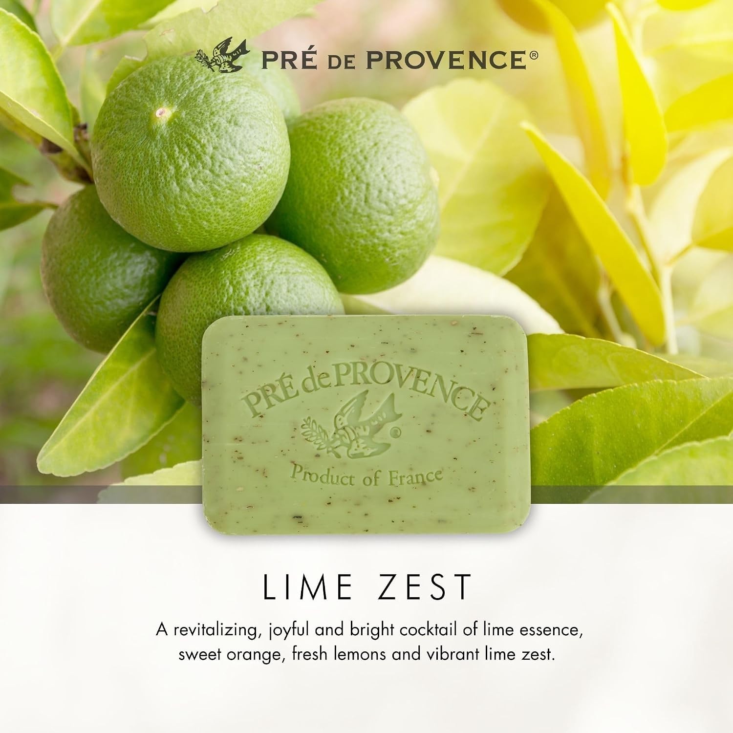 Natural French Artisanal Soap, Quad Milled for Moisturizing Rich Lather, 5.3 oz