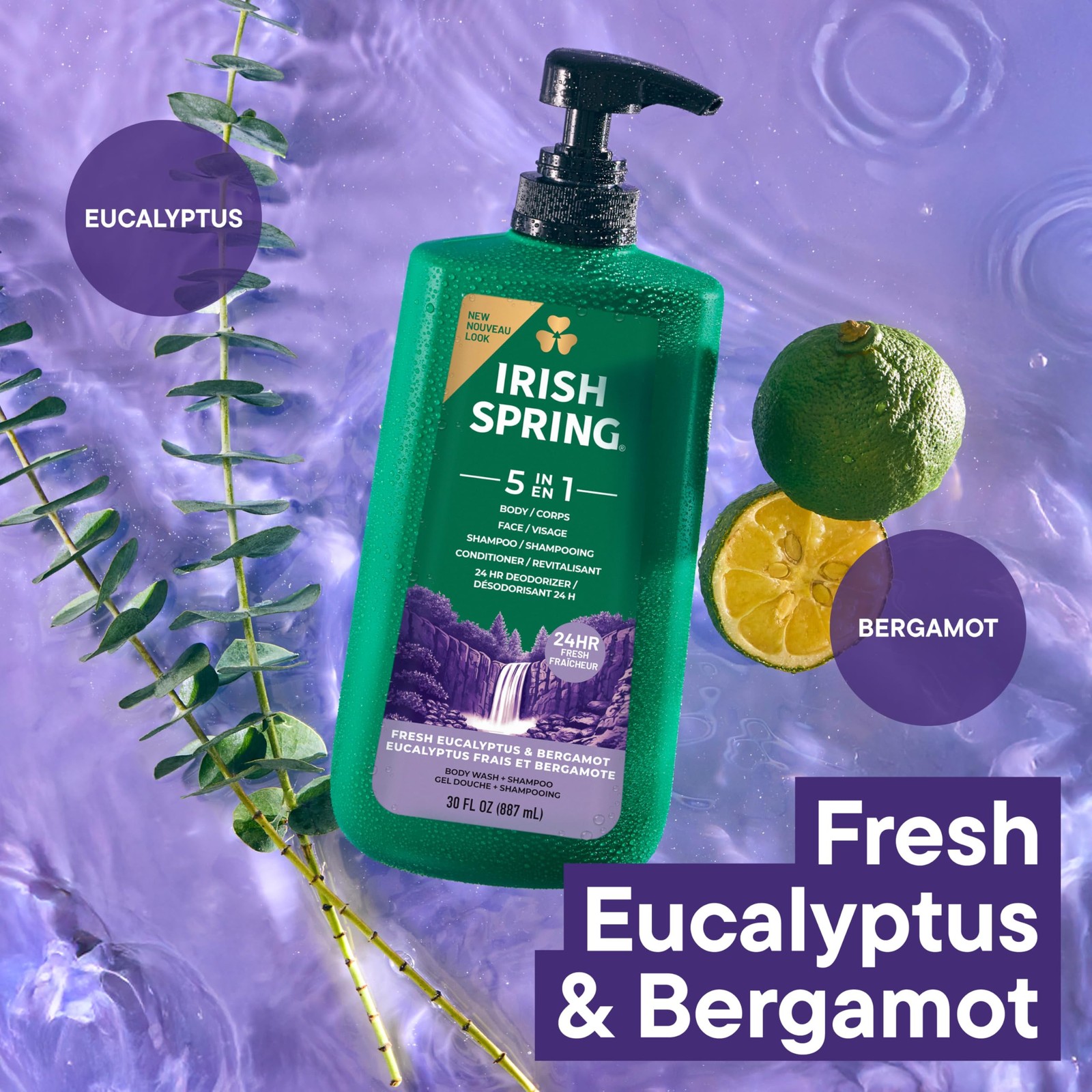 Irish Spring 5 in 1 Moisturizing Body Wash for 30 Ounce (Pack of 1), 5 1