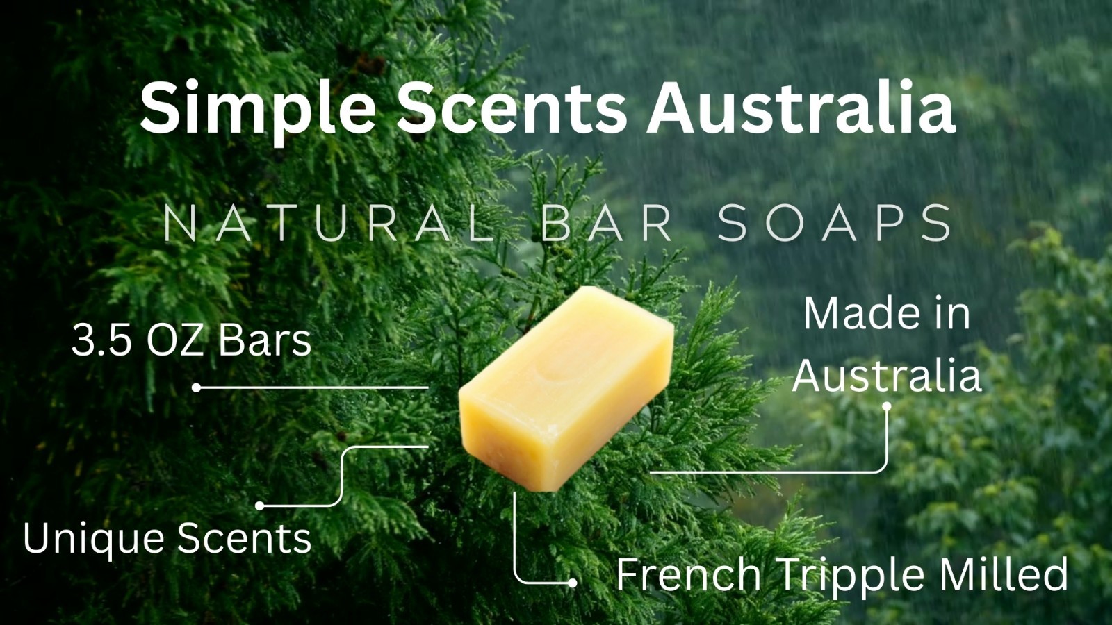 Natural Sandalwood Scented Soap 5 Pack – Triple Milled Moisturizing Bars, Organi