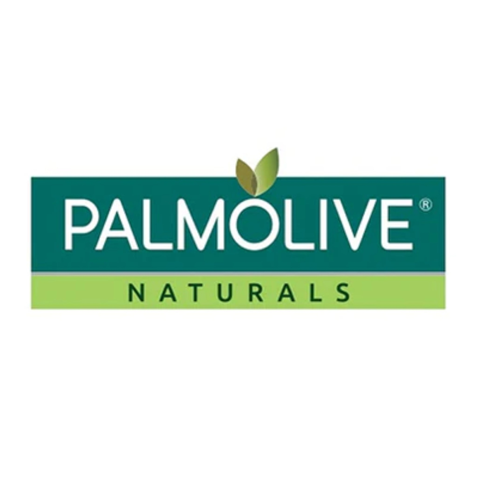 Palmolive Fresh & Moisture Citrus & Cream Soap, 3ct. 240g (Pack of 3)