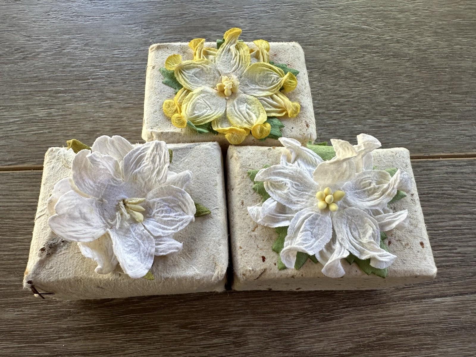Pure Fiji Coconut Bar Soap 3.5oz Set Of 3 – Pineapple, Moringa, Passionflower