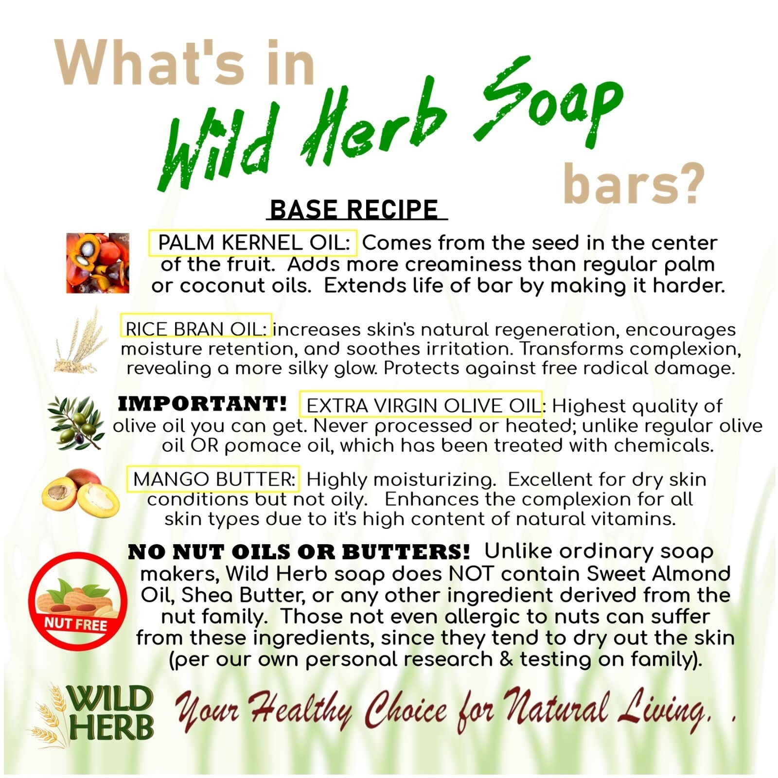 6 BULK NATURAL SOAP BARS + FREE LIP BALM: ORGANIC | Choose 6 Scents |MADE IN USA