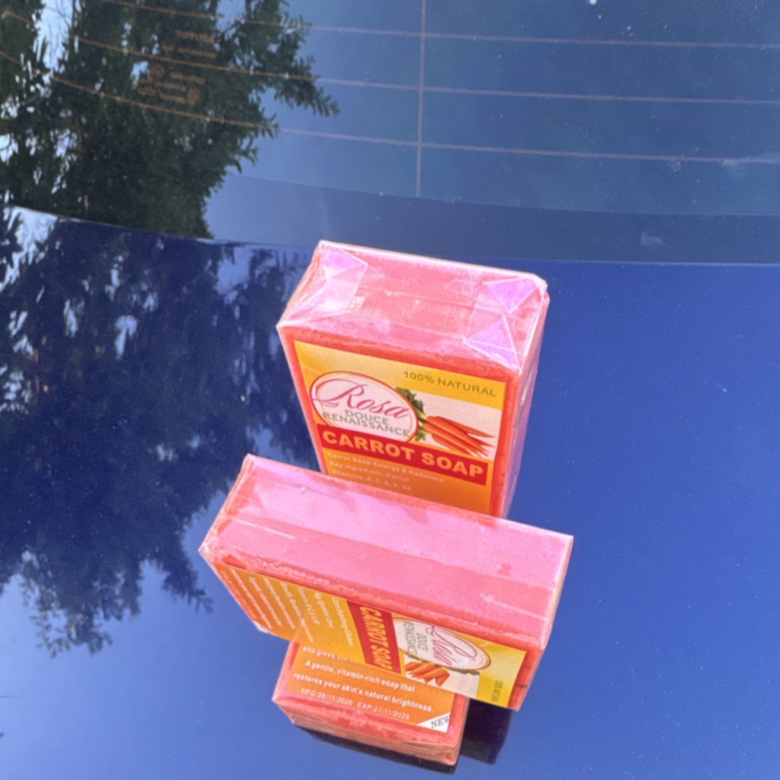 Rosa Douce Renaissance All Natural Moisturizing Carrot Soap Body Face Bar Orange