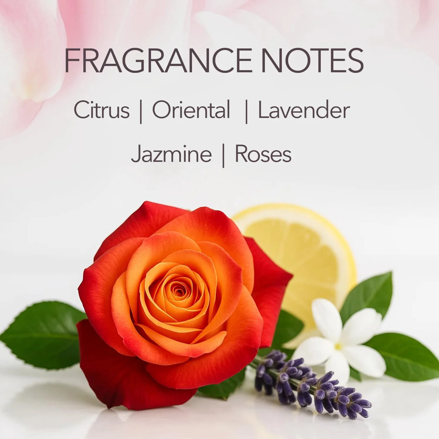 Maja, Classic Soap Perfumed Soap Round and Luxurious Round Soap to Clean and Moi