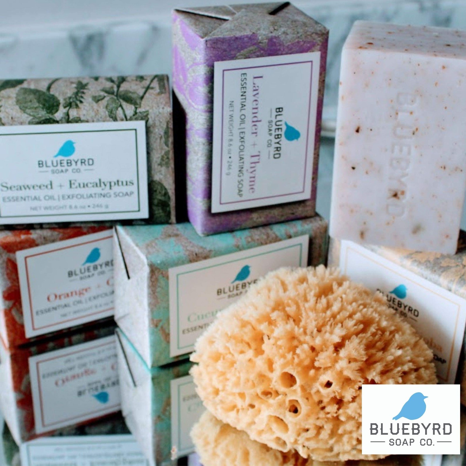 BLUEBYRD Soap Co. 5-Pack Variety Set Exfoliating Essential Oil Soap Bars | 10…