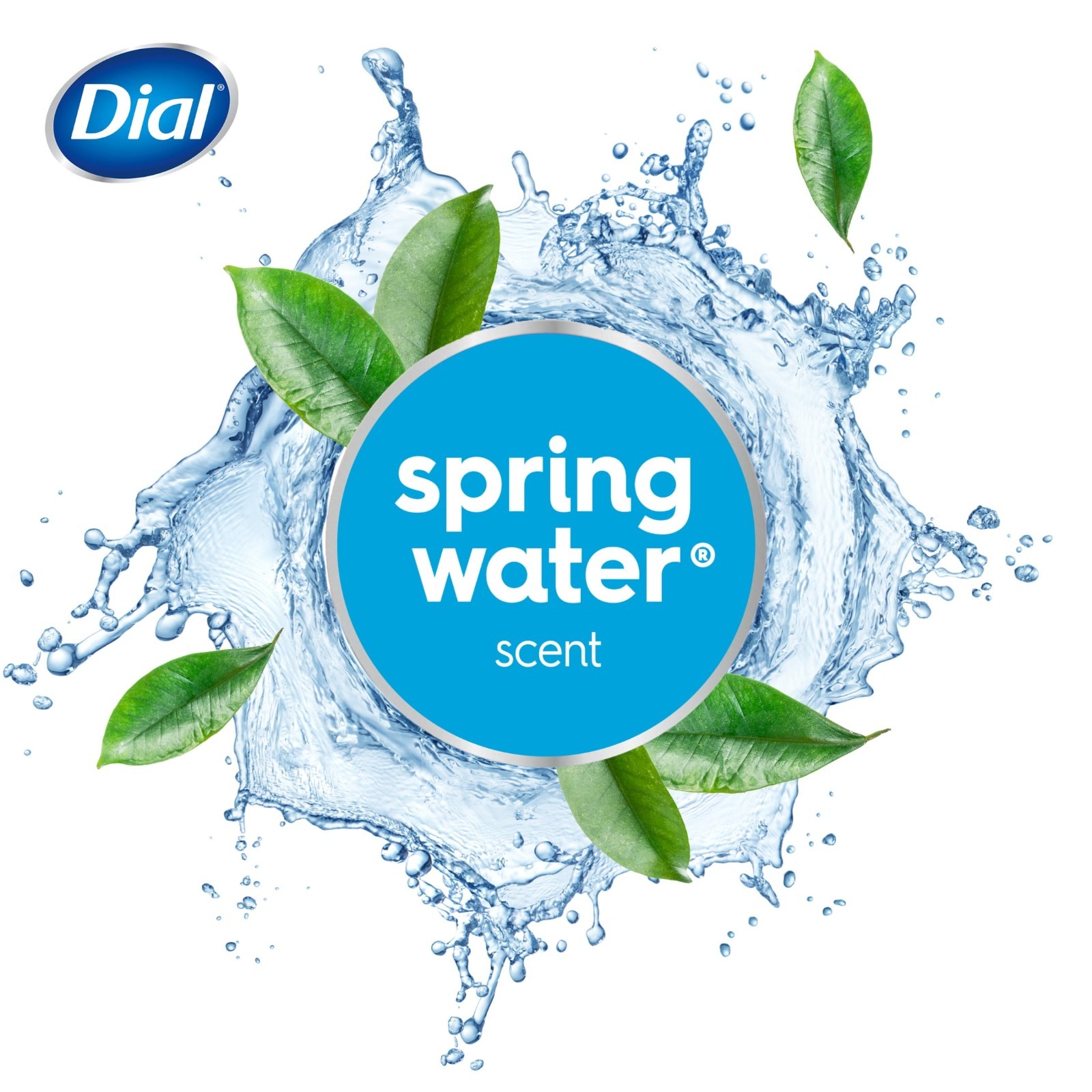 (2 Pack) Dial Antibacterial Bar Soap Spring Water 4 oz, 12Count, Refresh & Renew