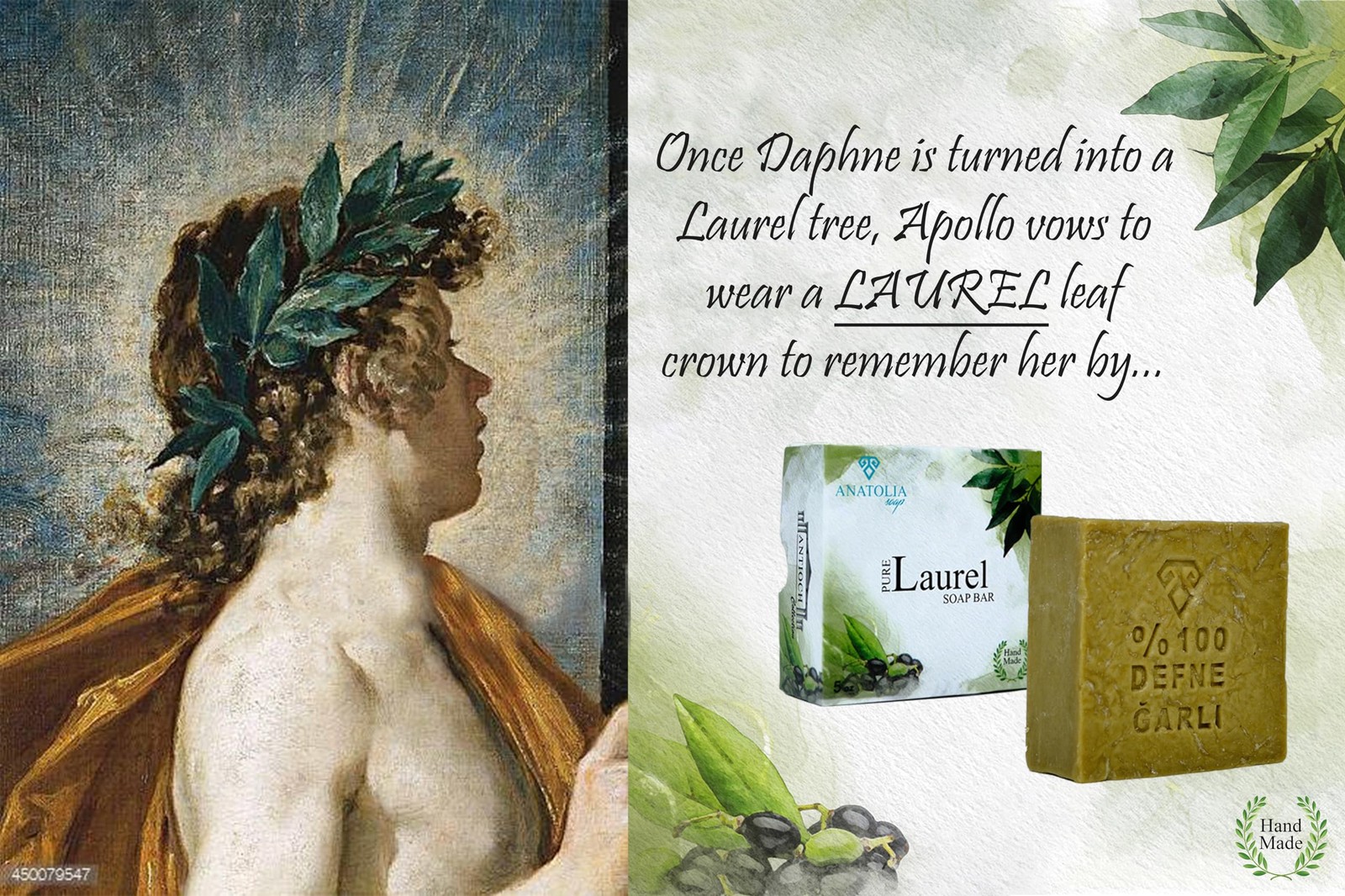 Antioch Collection Laurel Oil Shampoo Bar 5 oz – Handmade Soap, Olive Oil Bas…