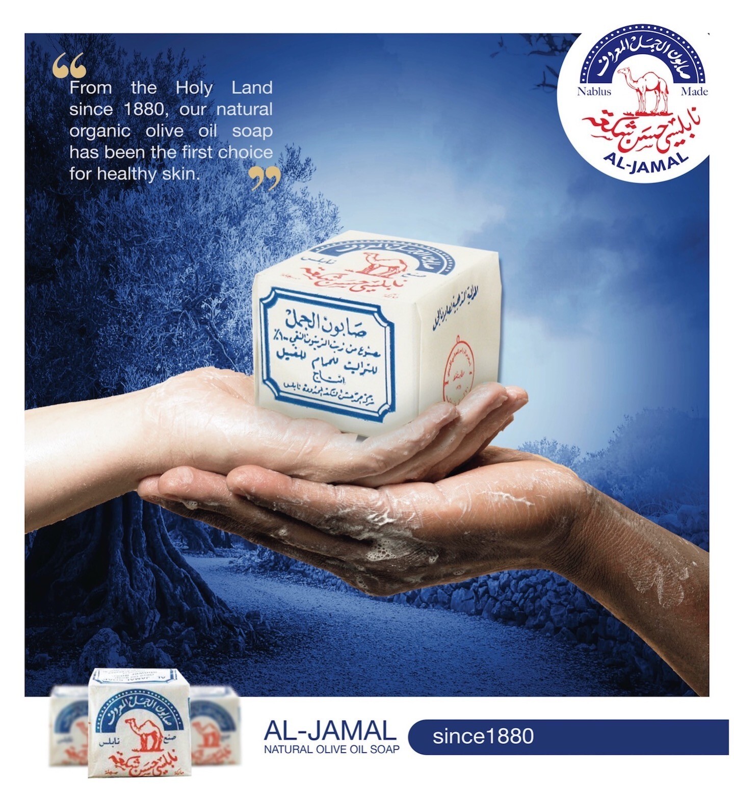 Al-Jamal Soap Bars Olive Oil Organic Nablus Palestine Count 24