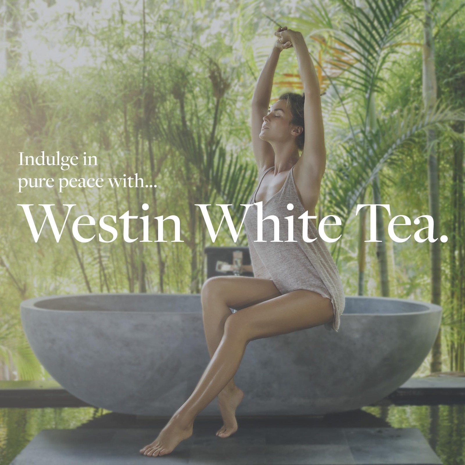 White Tea Leaf Soap Nourishing Bars of with Signature Aloe Scent Individually