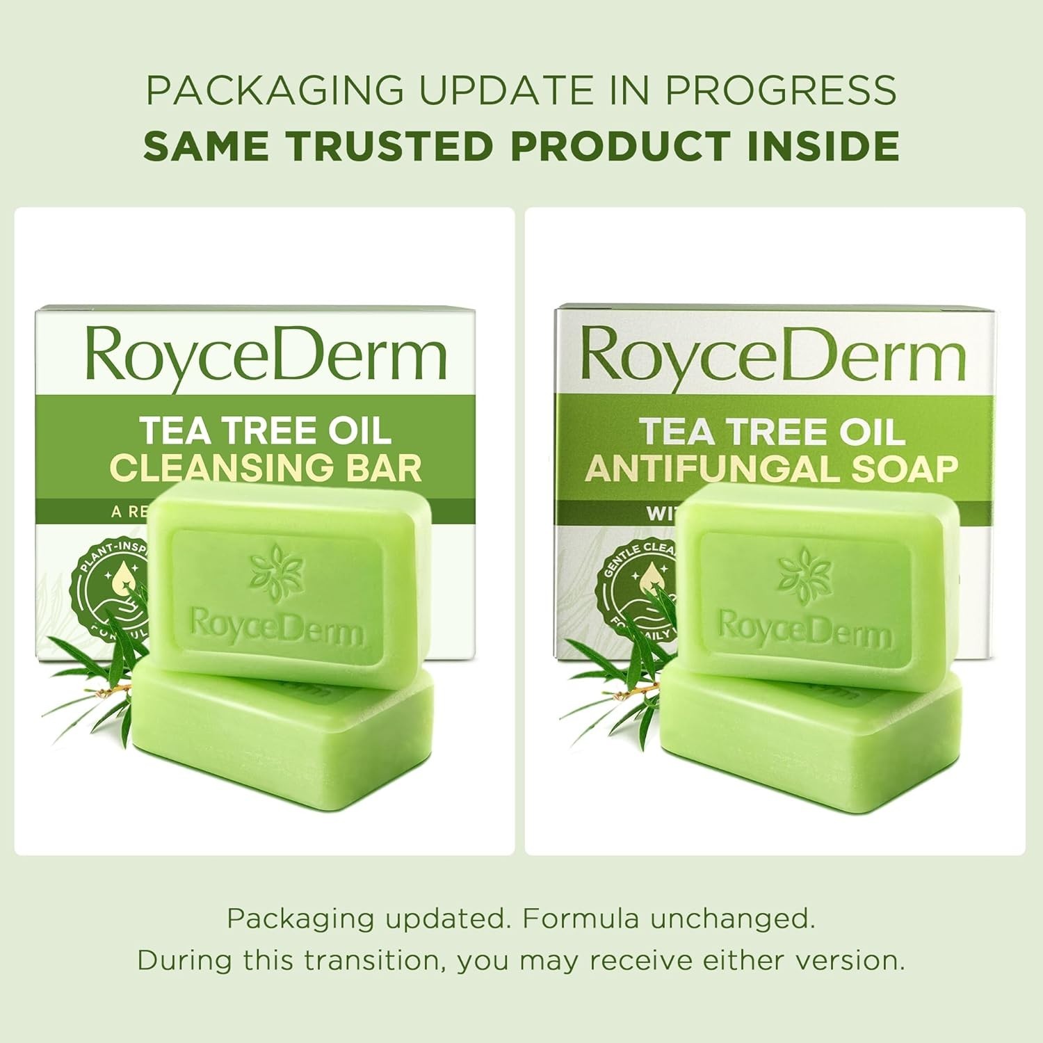 Roycederm Antifungal Antibacterial Tea Tree Soap | Treatment Soap for Face &…