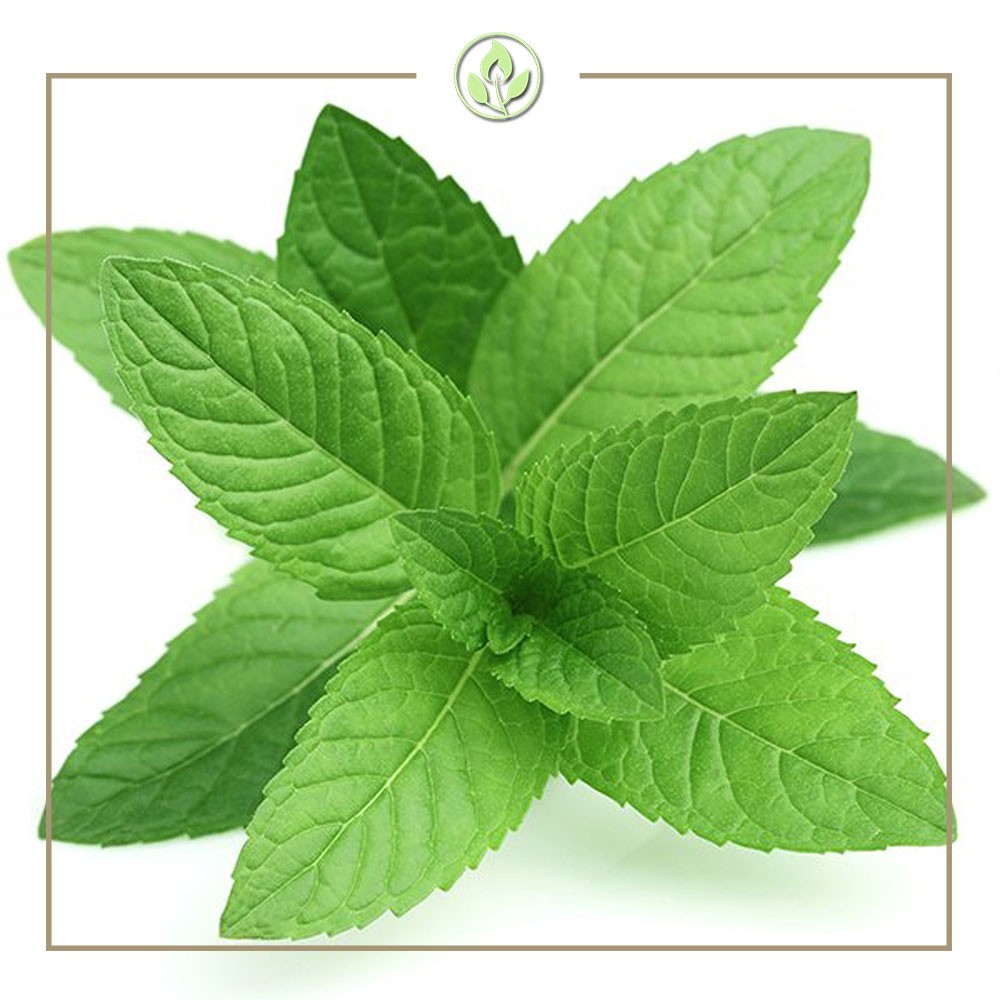 🆕️ Natural Sense 5 Oz. Bar Castile Soap🫧 ●PEPPERMINT● Natural & Moisturizing.