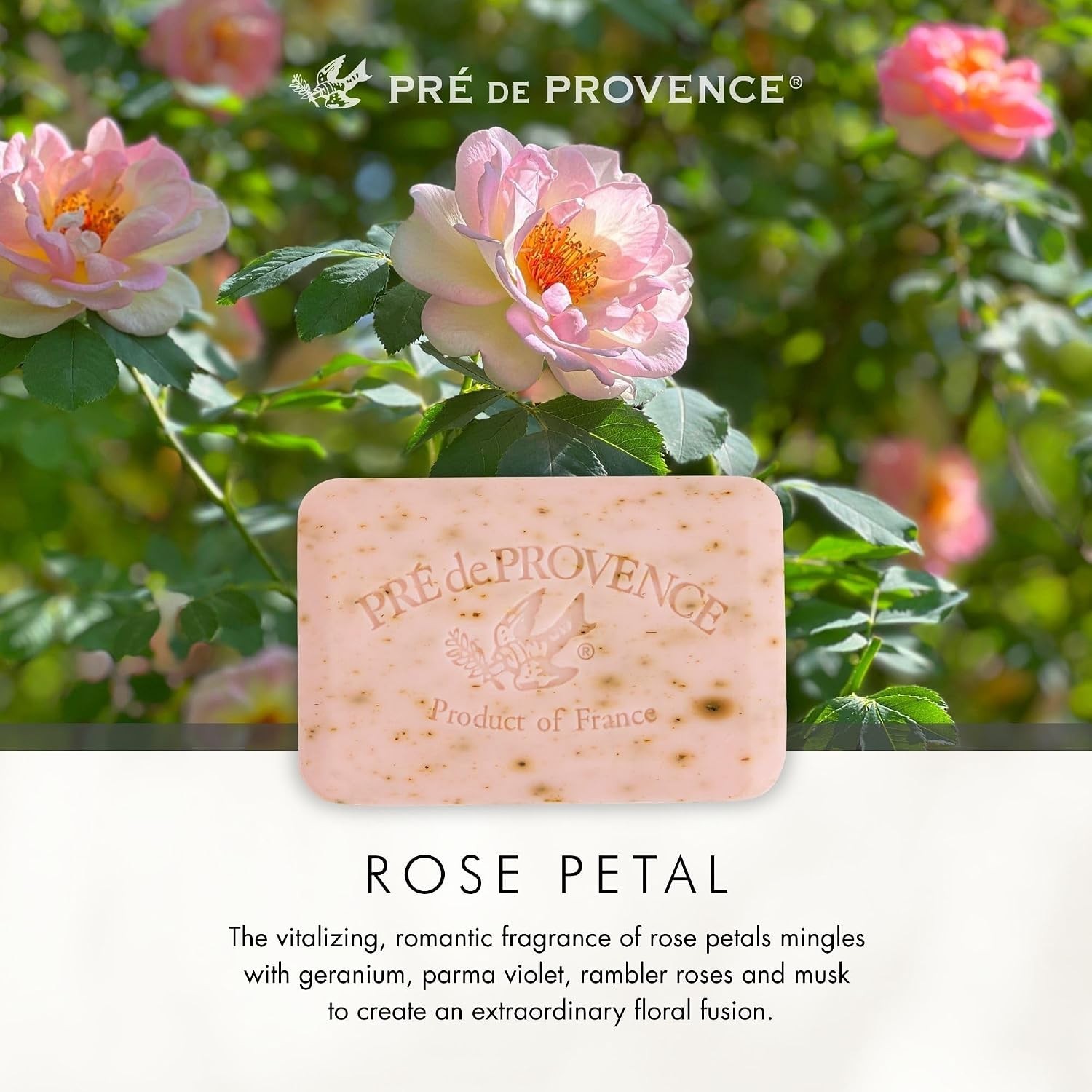 Shea Butter Enriched Artisanal Soap Bar, 5.3 oz – Hydrating Rose Fragrance