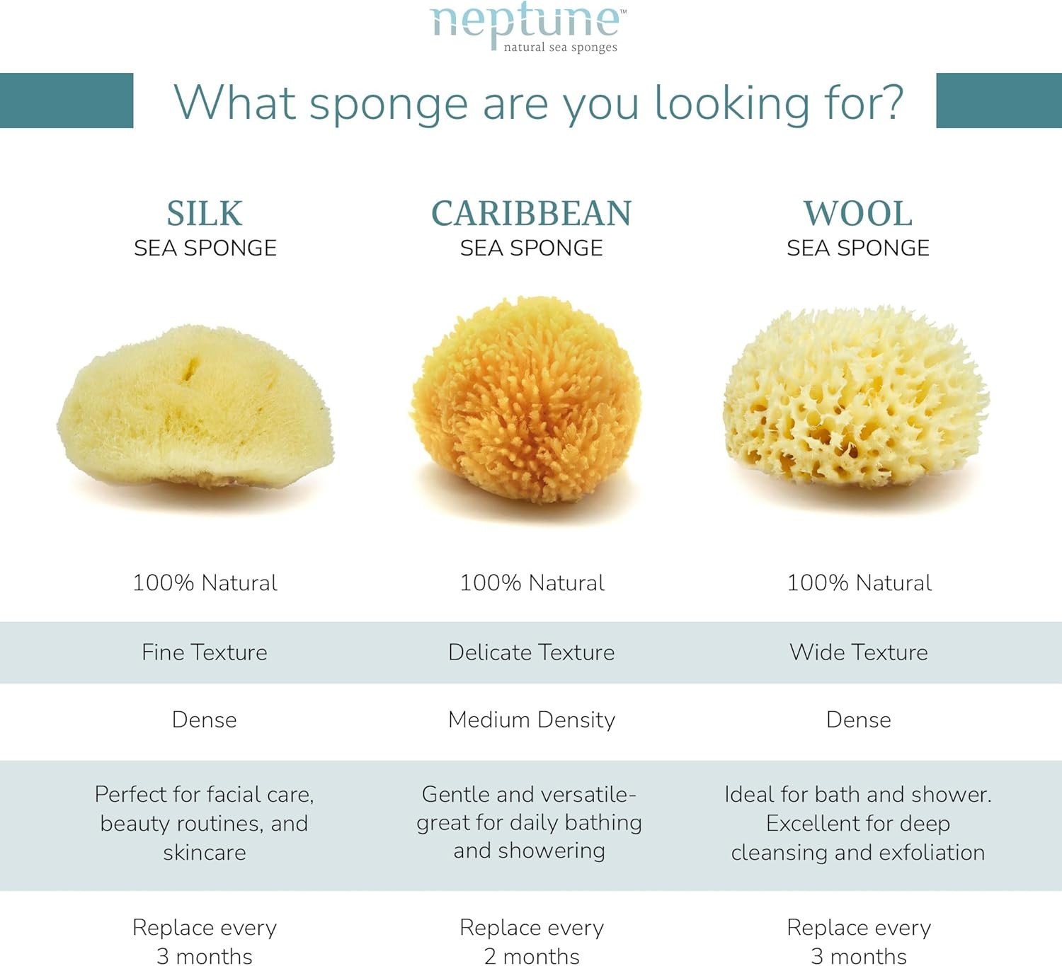 Neptune Caribbean Sea Sponge, Hand Cut, Small, Approx. 4-5 inches Yellow