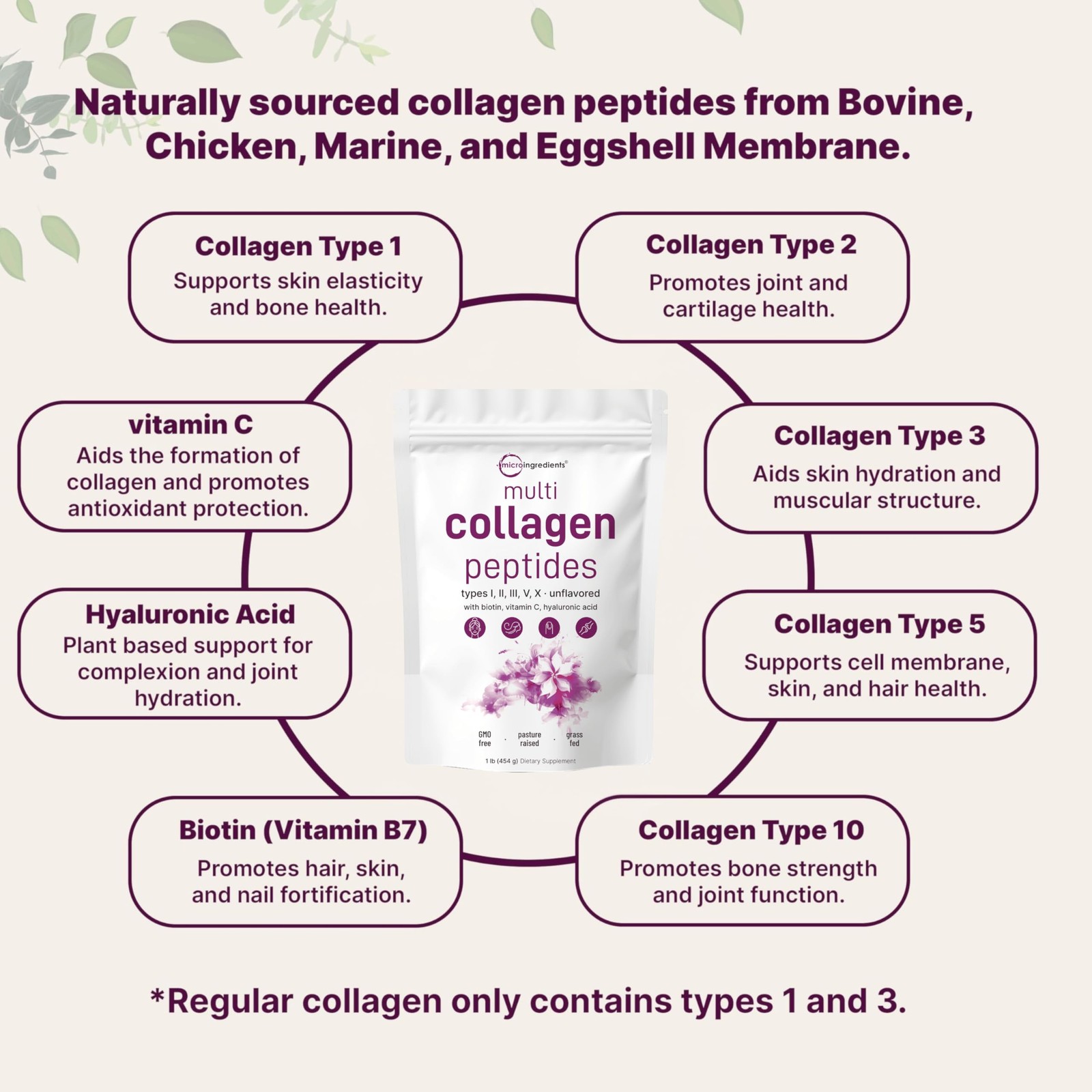Micro Ingredients Multi Collagen Peptides Powder, 1 Pound (Pack of 1),