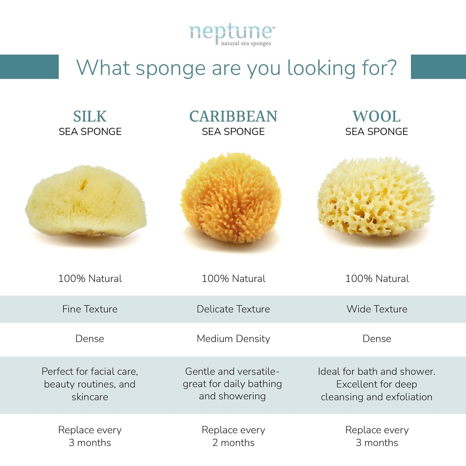 Neptune Caribbean Sea Sponge, Hand Cut, Medium, 1 Count (Pack of 1), Yellow