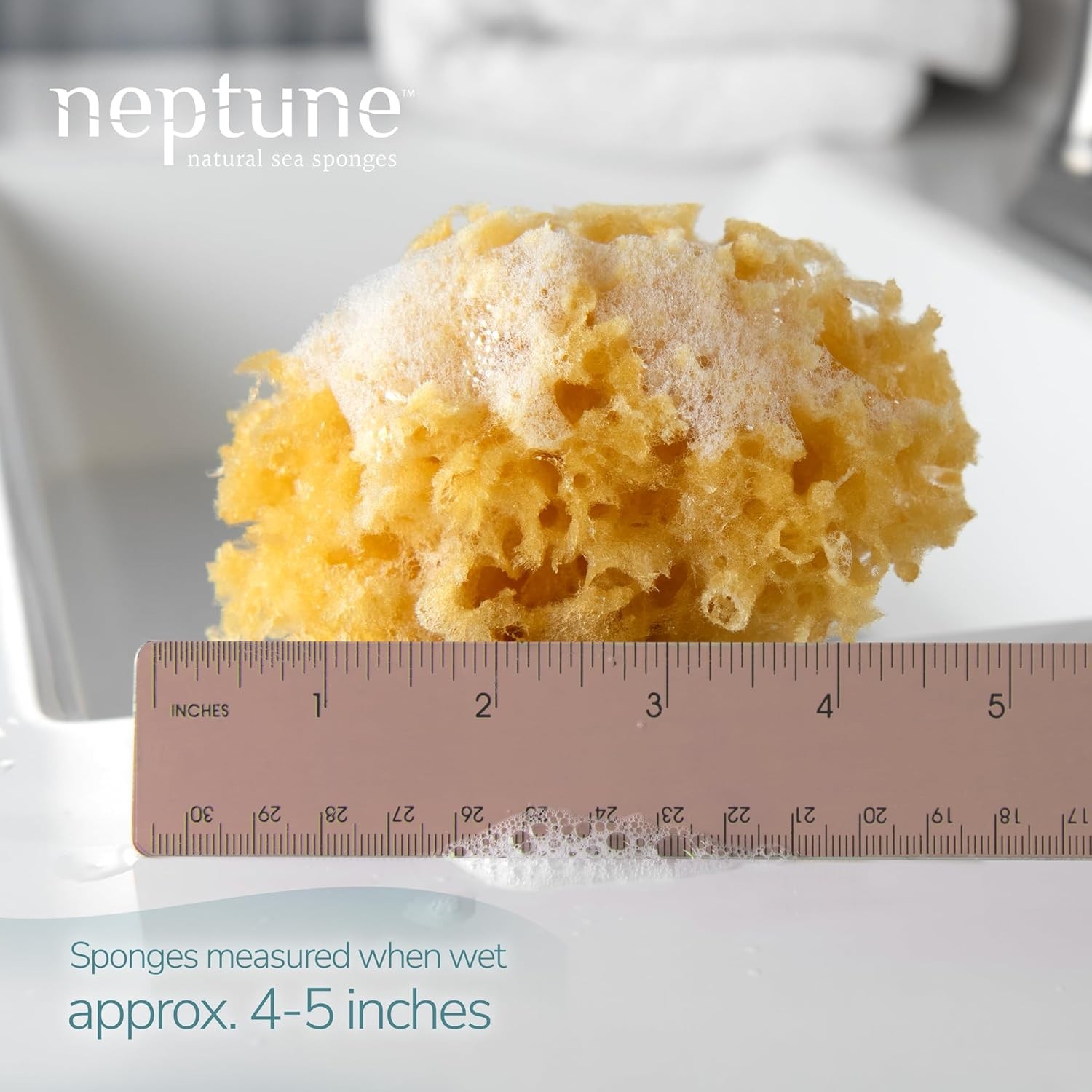 Neptune Caribbean Sea Sponge, Hand Cut, Small, Approx. 4-5 inches Yellow