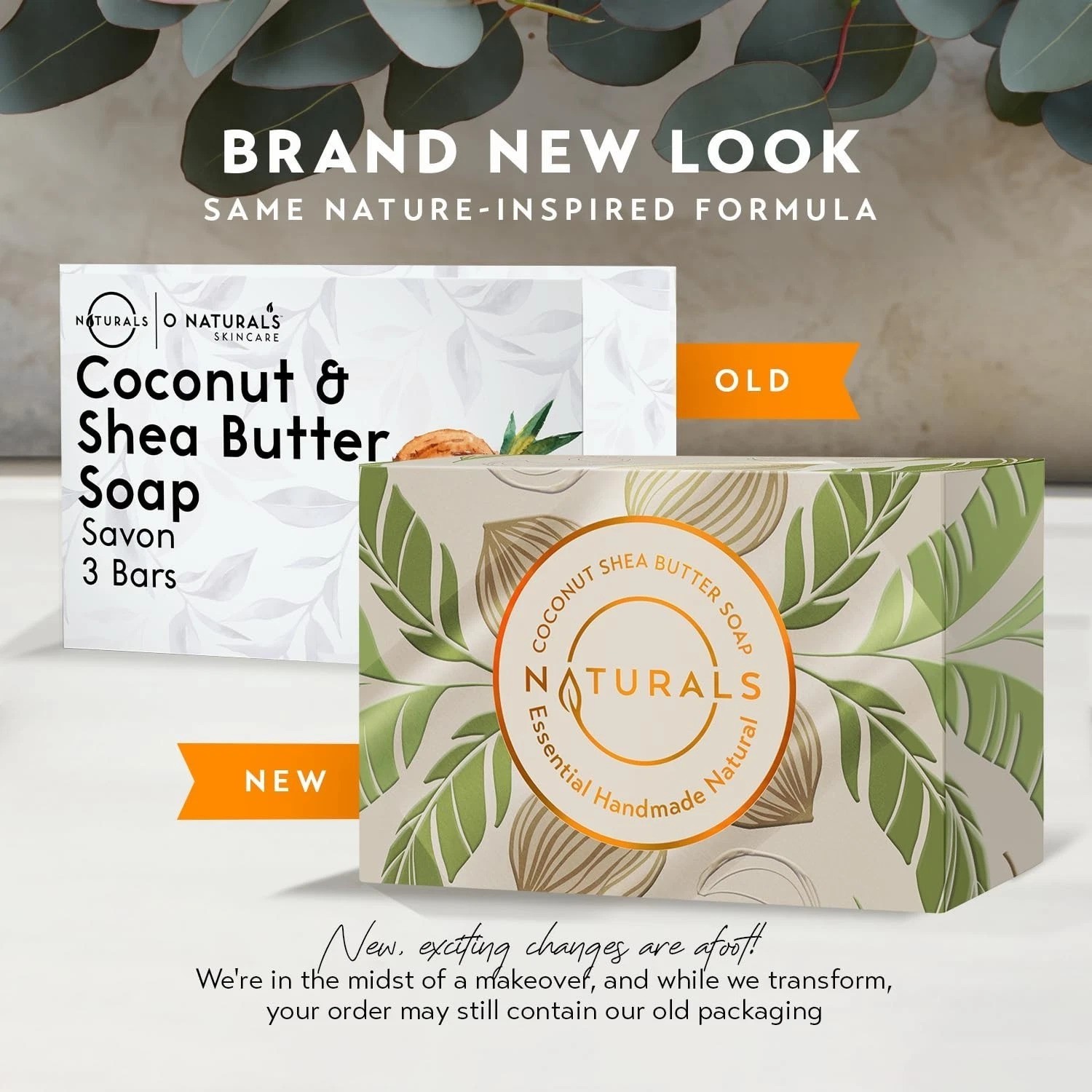 Cold Process Soap Bars – 3-Pack Coconut & Shea Butter – Eco-Friendly Gifts