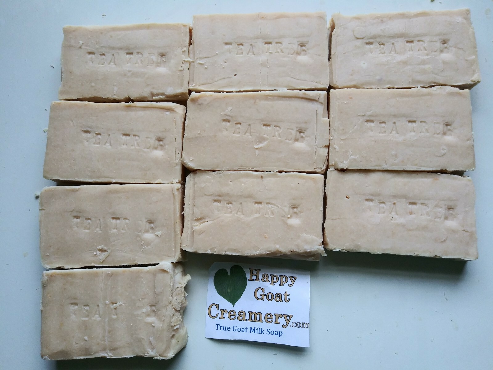 10 BARS GOAT MILK SOAP YOUR PICK VEGETABLE OIL HAPPY GOAT CREAMERY CHEAP FUN NEW