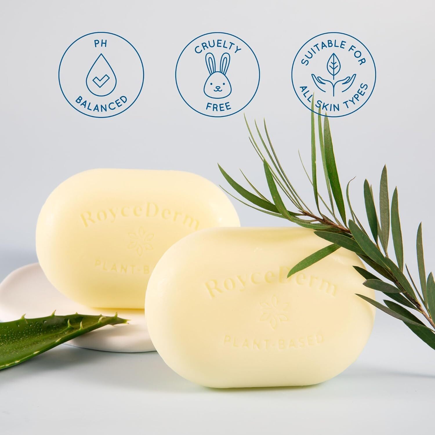 Roycederm Tinea Versicolor Relief Soap Tea Tree Oil & Sulfur Cleansing Bar, 2028