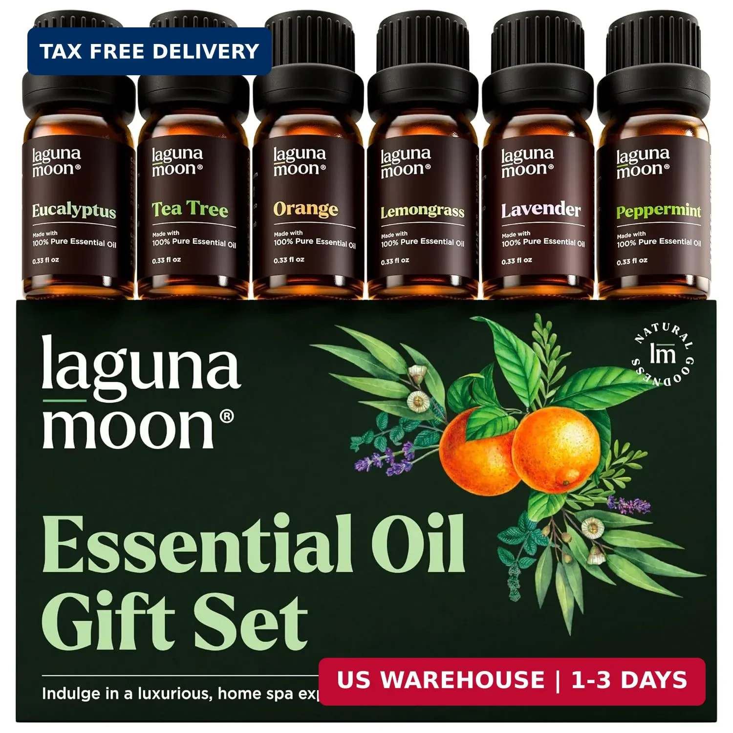 Essential Oils Aromatherapy Set – 6 Oils for Diffusers, Home Care, Fragrance