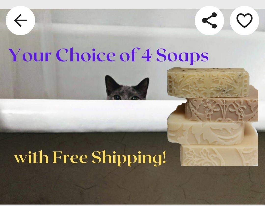 Choice of Four Bestselling Handmade Goat Milk Soaps, + samples, ships fast