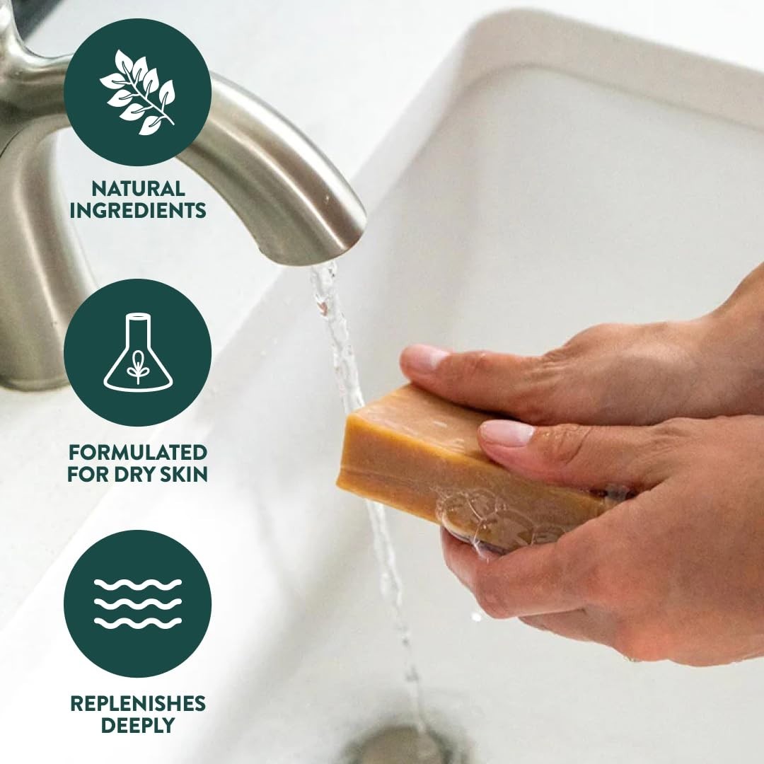 Handmade Canadian Plant-Based Cold Process Soap, 6-Packs for Him