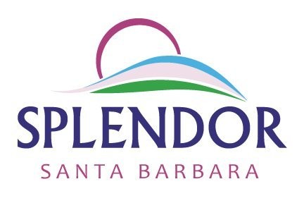 Splendor Natural Soap for Men (10.5 oz) – Handmade Cold-Process Bars with Oil…