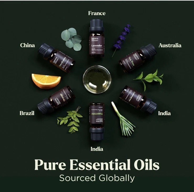 Lagunamoon Essential Oils Aromatherapy Set – 6 0.33 Fl Oz (Pack of 6), Green