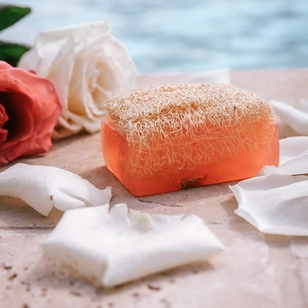 4 pack pomegranate loofah soap bar