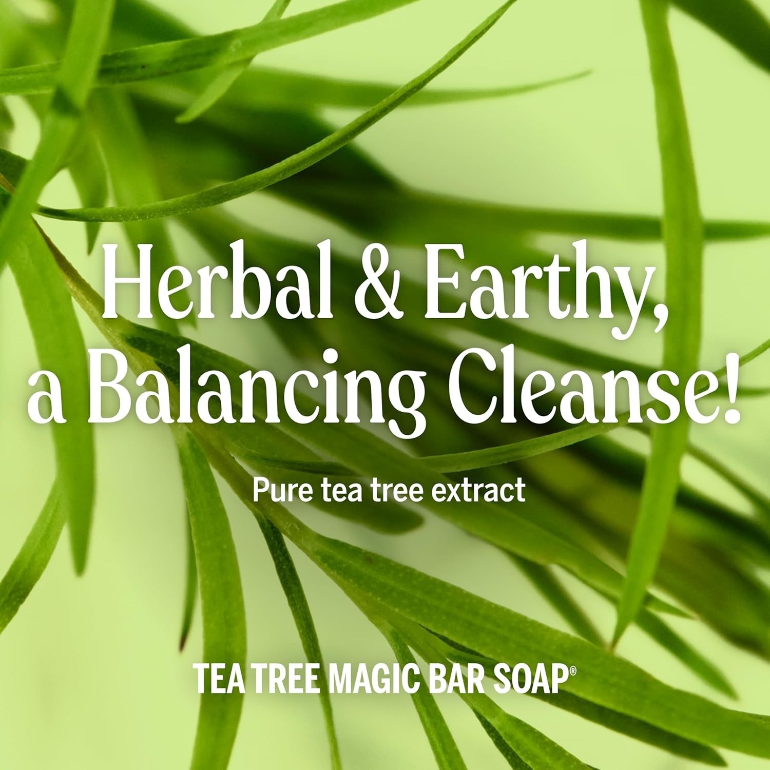 Eco-Friendly Magic Bar Soap – 2 Pack, 5 Oz Pure-Castile with Tea Tree