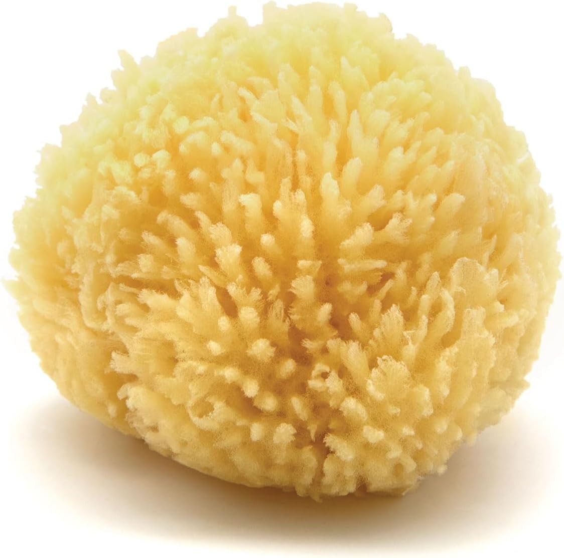 Neptune Caribbean Sea Sponge, Hand Cut, Small, Approx. 4-5 inches Yellow