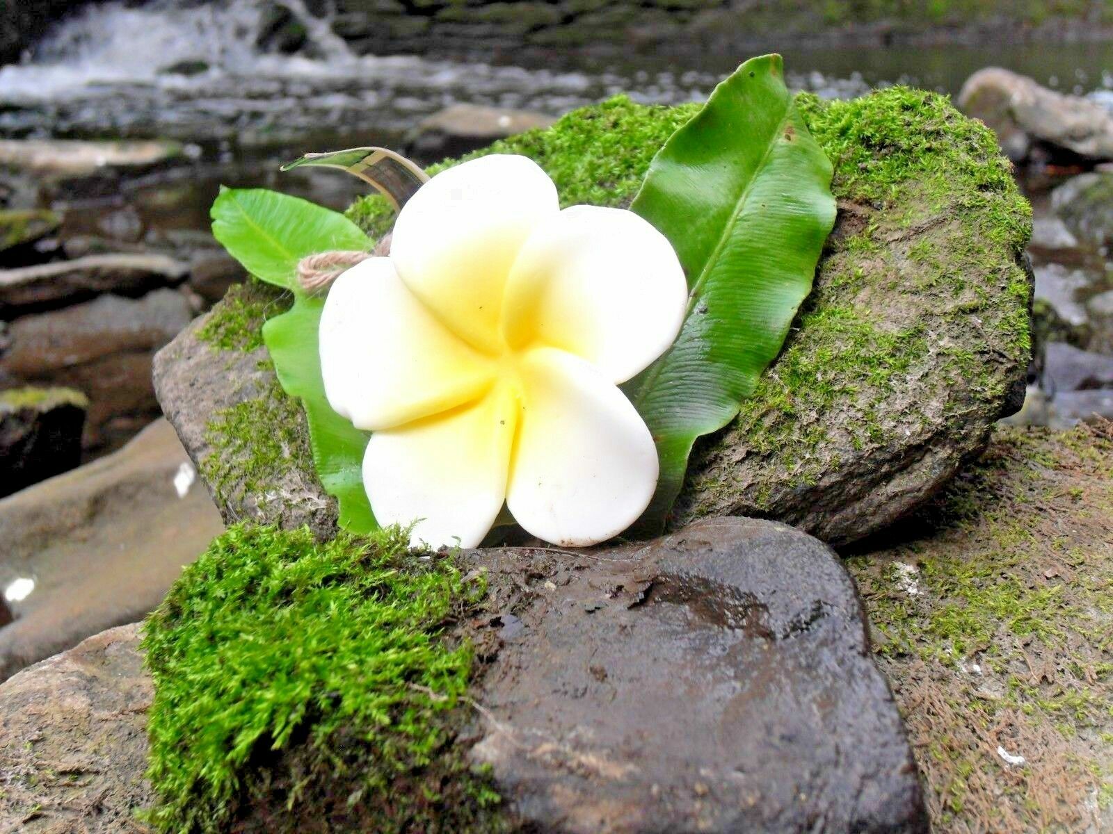 Soap Fruit & flower Shaped Scented Natural Thai Spa Gift Souvenir Keepsake