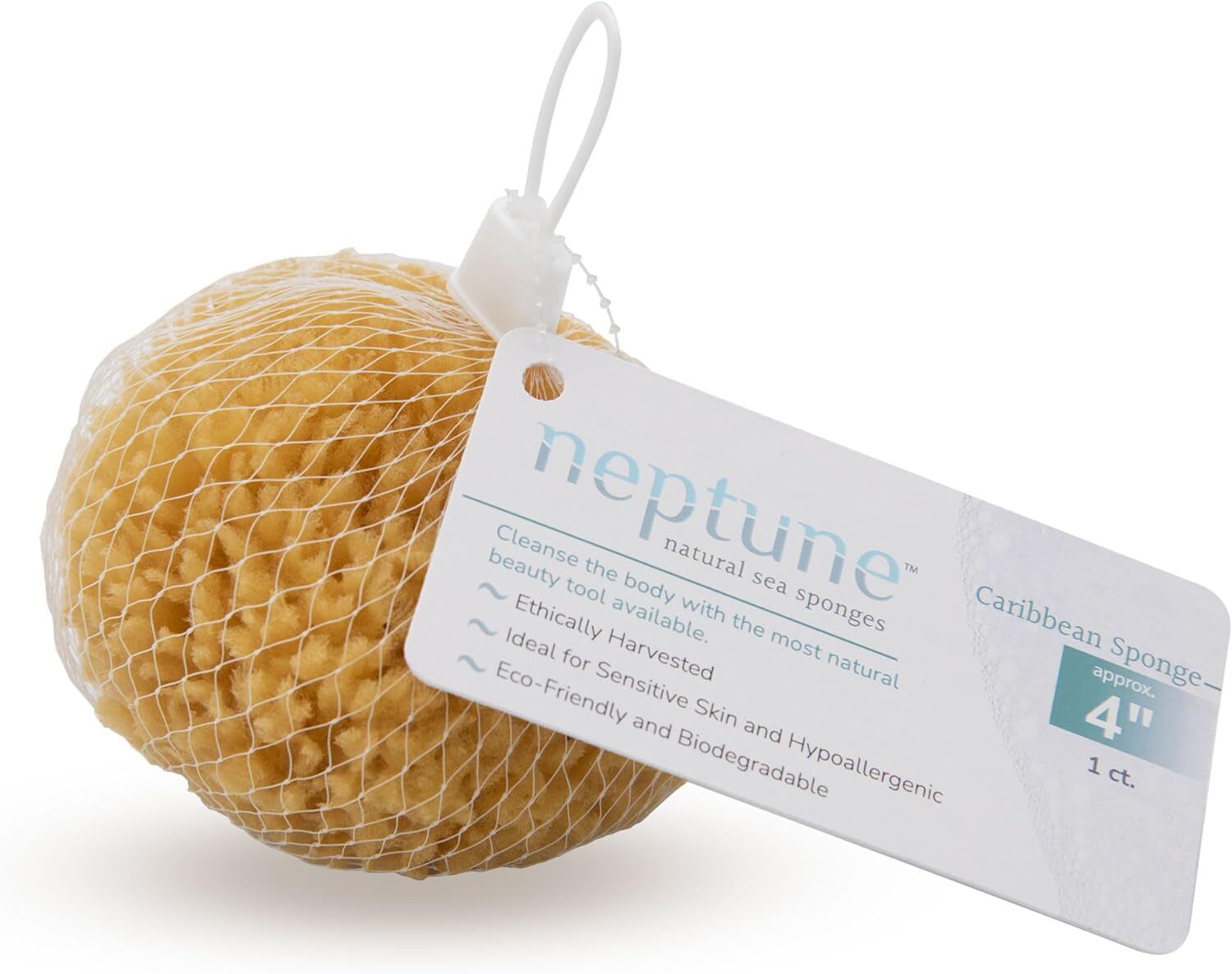 Natural Caribbean Sea Sponge – All Renewable (4 Yellow