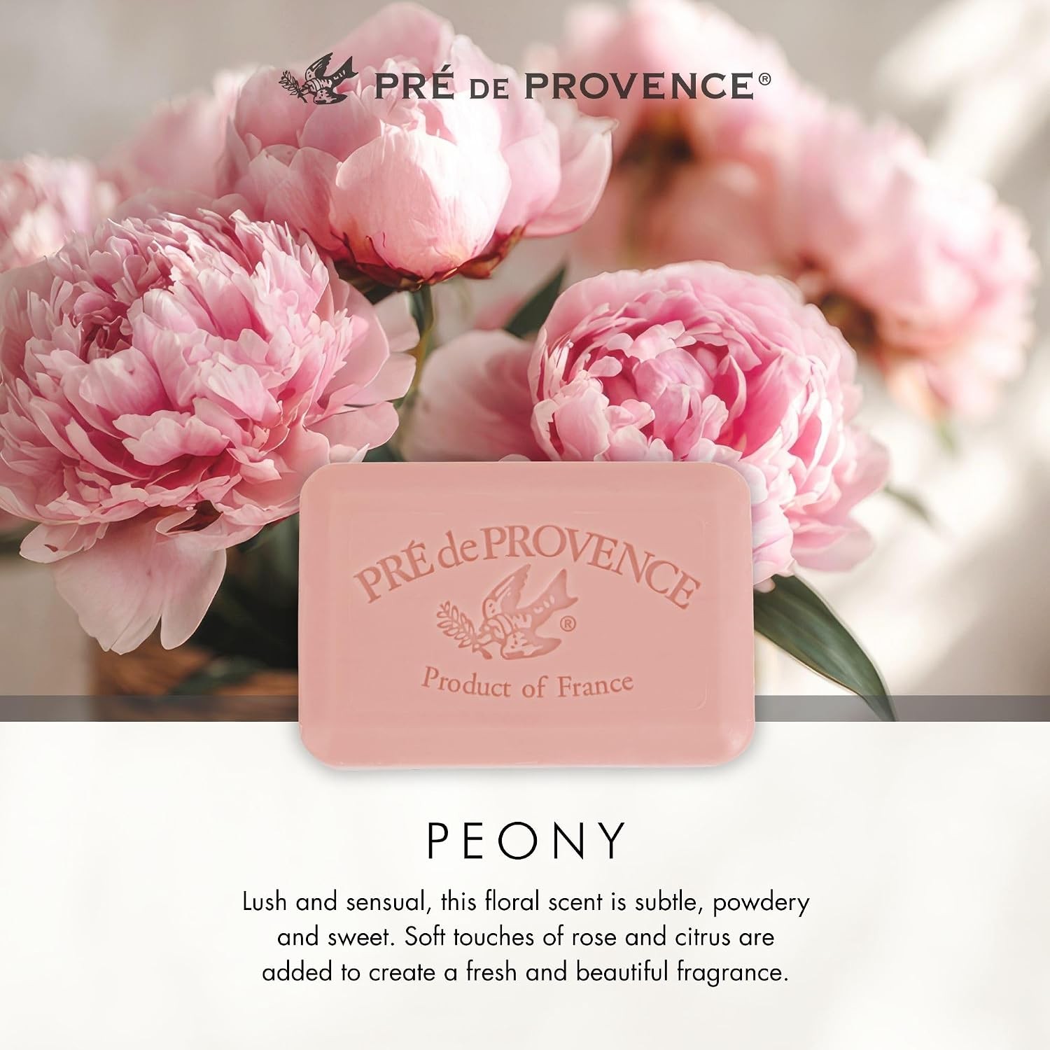 Artisanal Soap Bar Enriched with Organic Shea Butter Natural French Skincare