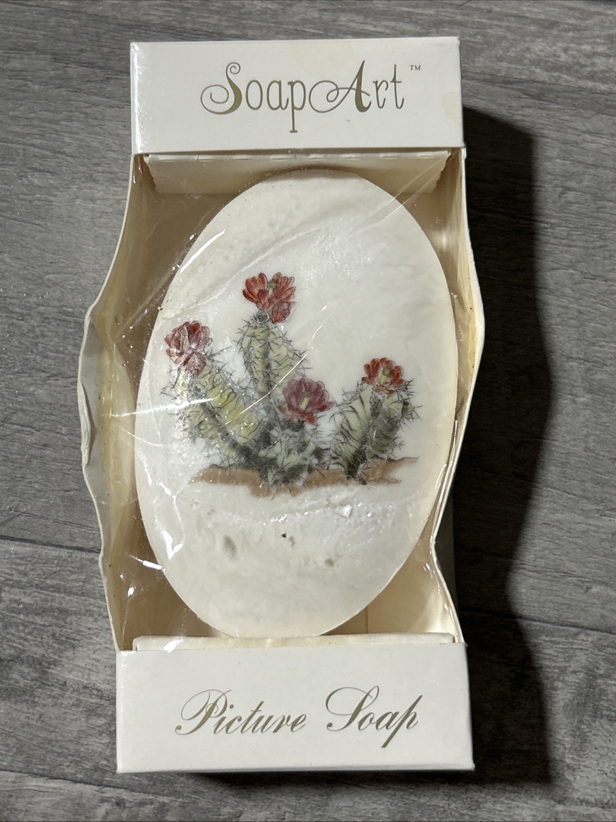 Lasting Impressions Soap Art 3.0 oz Picture Soap Bath Bar Cactus Design W9