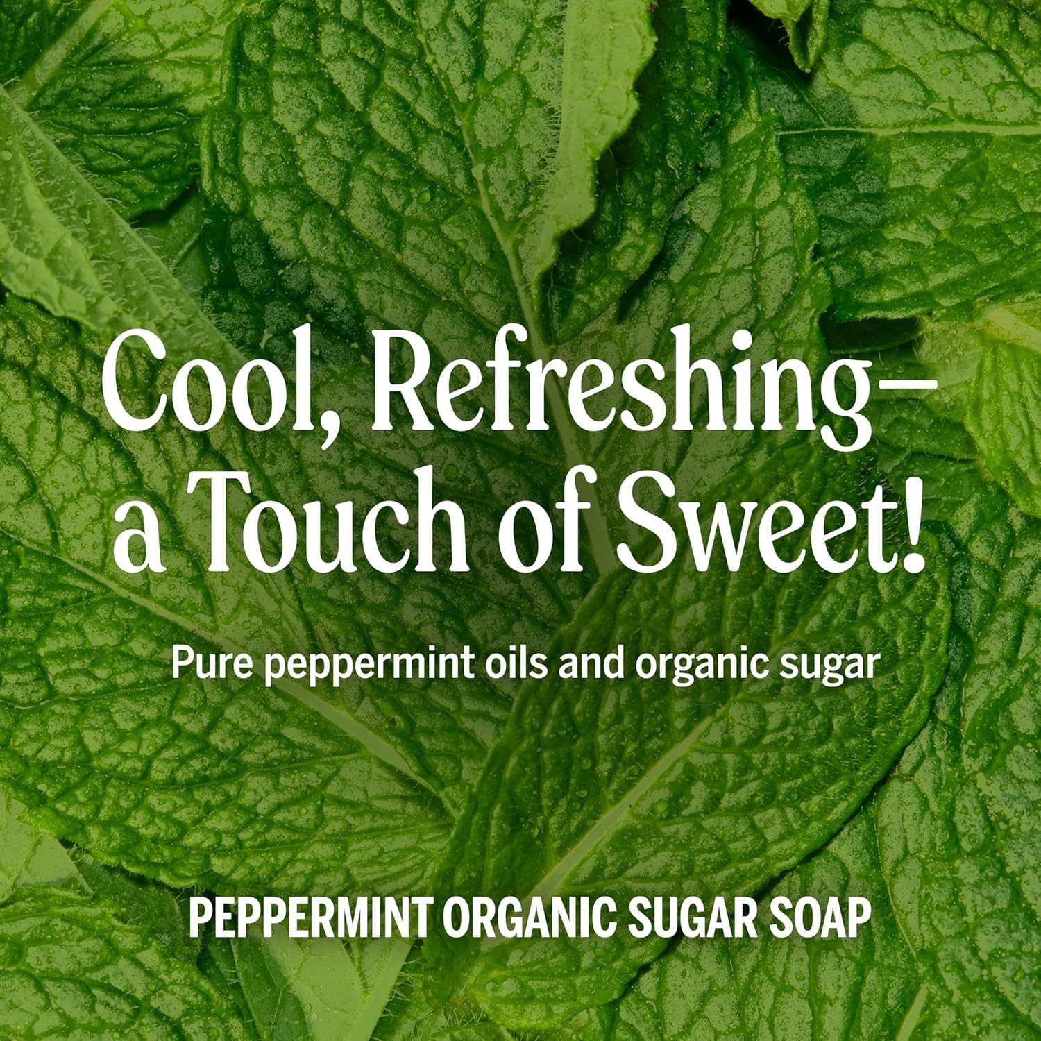 Sugar Soap with Shikakai Powder – 64 oz