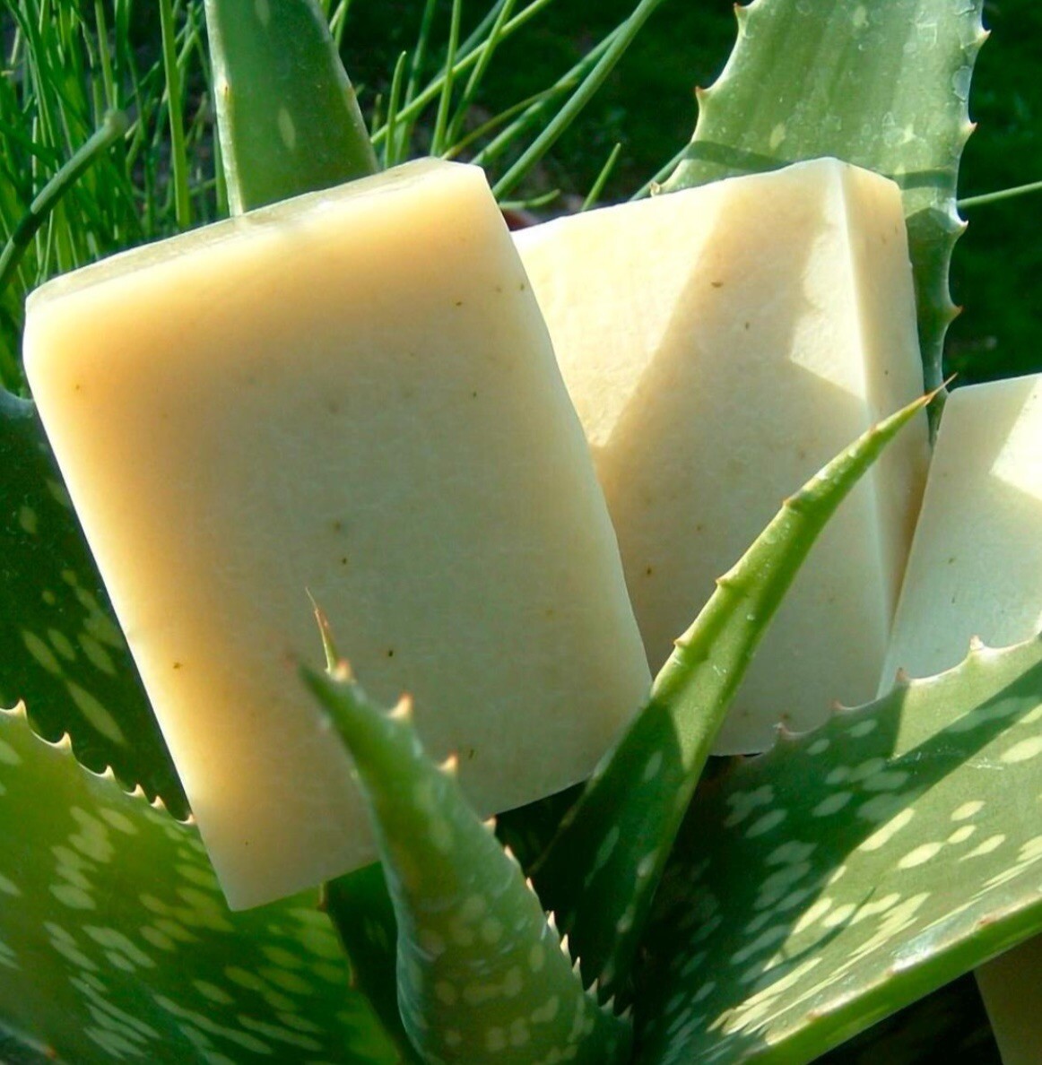 Homemade Soap Bar Eucalyptus & Aloe Vera 4.8Oz Chemical Free Organic All Natural
