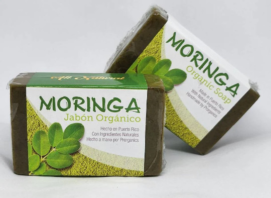 Moringa 5oz Organic soap by Prorganics (Rare)
