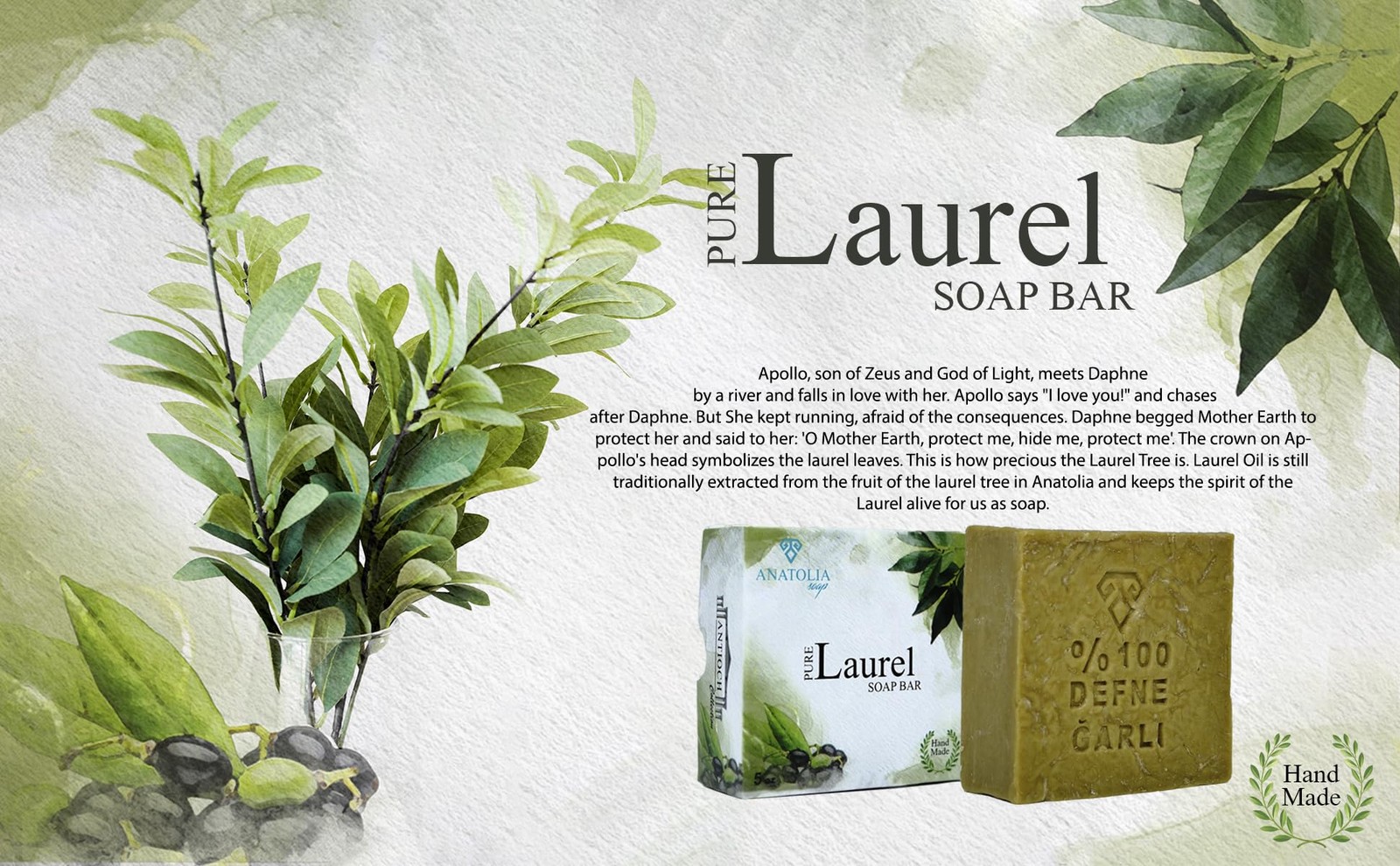Antioch Collection Laurel Oil Shampoo Bar 5 oz – Handmade Soap, Olive Oil Bas…