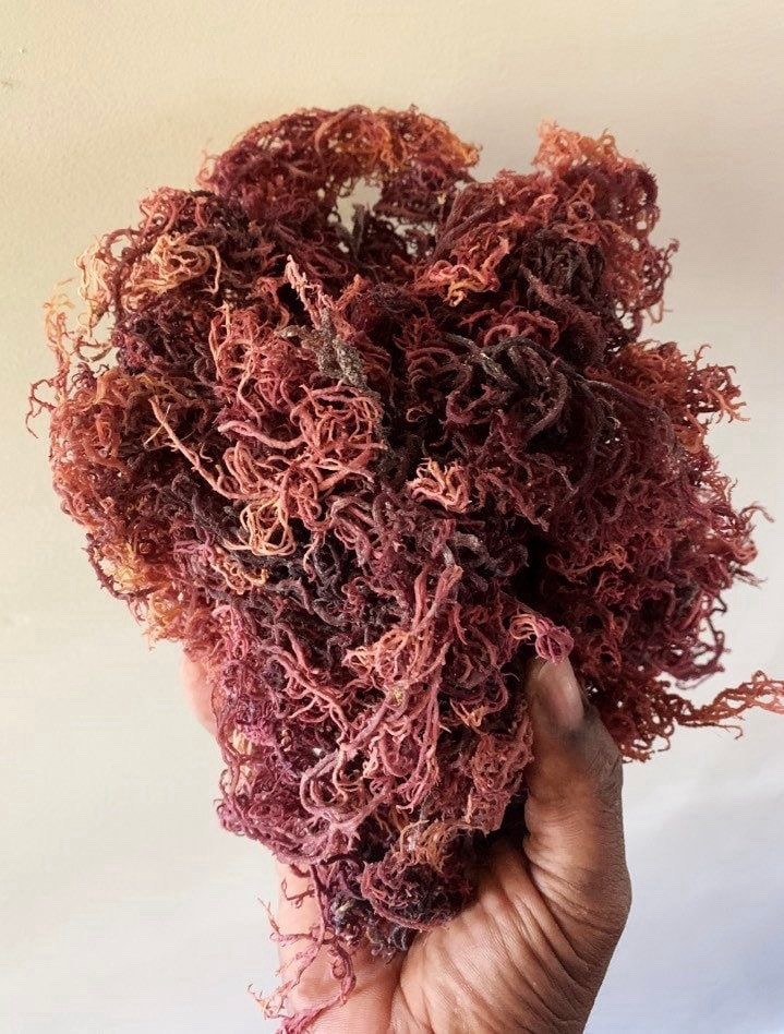Handmade Purple Sea Moss Coconut Soap Glycerin Organic Vegan Herbal XL Bar