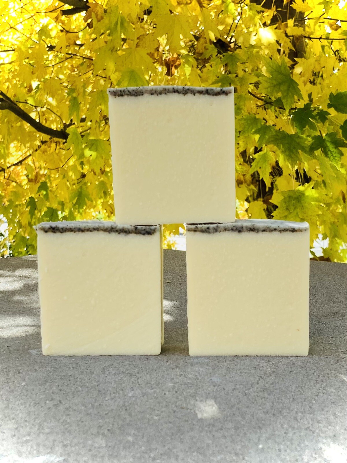 Lemon Sage Castile Soap | 100% Pure Olive Oil Soap Conditioning Bar